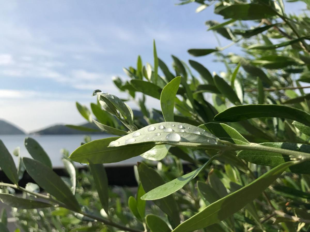 Shodoshima Olive Youth Hostel Exteriér fotografie